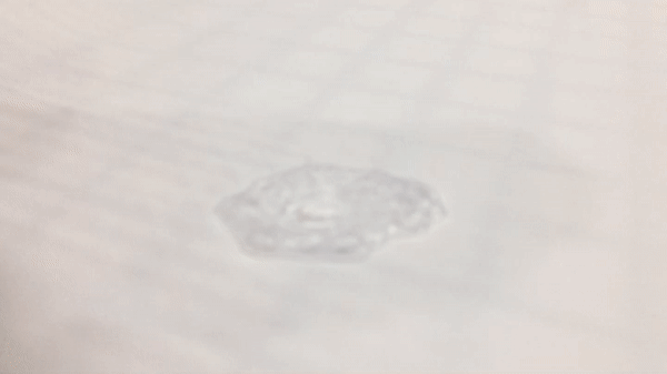 2bbab70e5f8deb634706aab1ac246959_1561351