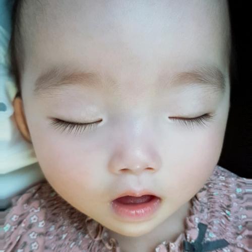 회원이미지