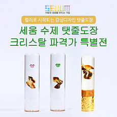 세움 크리스탈 탯줄도장 파격가 특별전