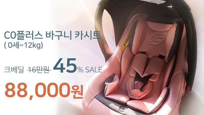 페도라 바구니 카시트 C0플러스