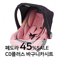 페도라 바구니 카시트 C0플러스