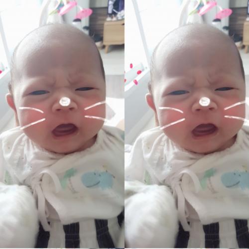 회원이미지