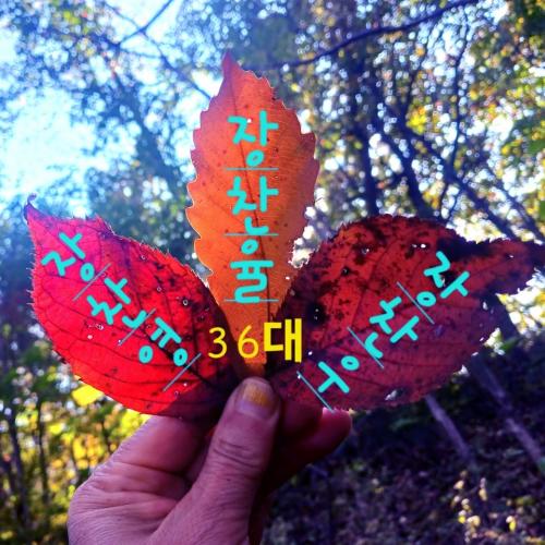 회원이미지