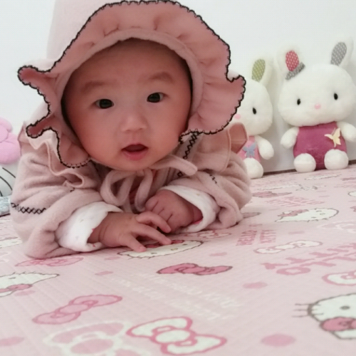회원이미지