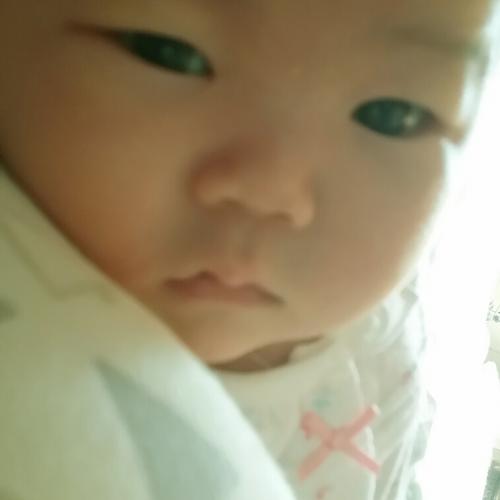 회원이미지