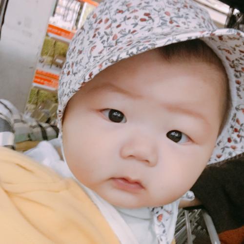 회원이미지