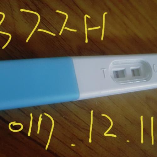 회원이미지
