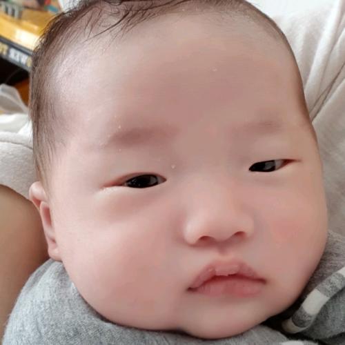 회원이미지