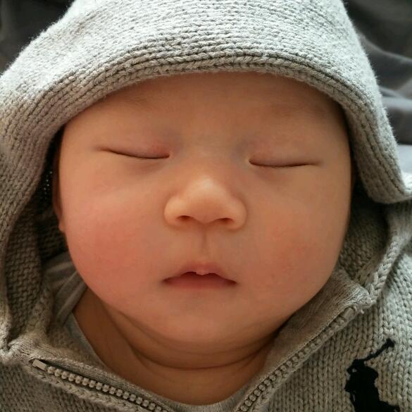 회원이미지