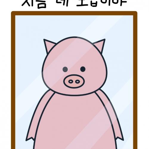 회원이미지