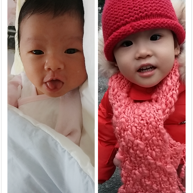 회원이미지