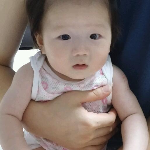 회원이미지