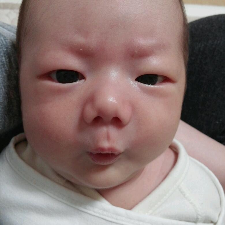 회원이미지
