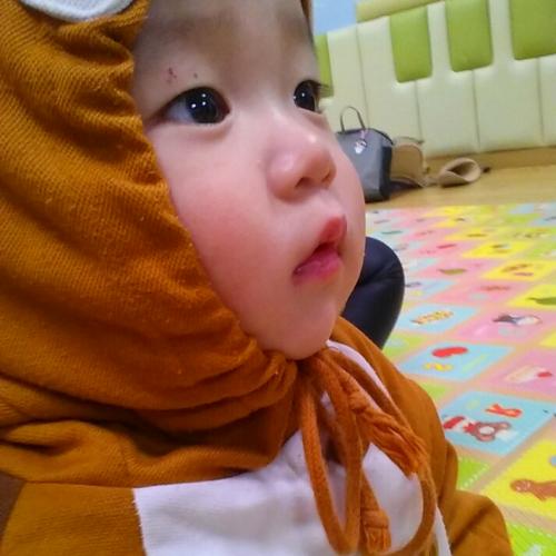 회원이미지