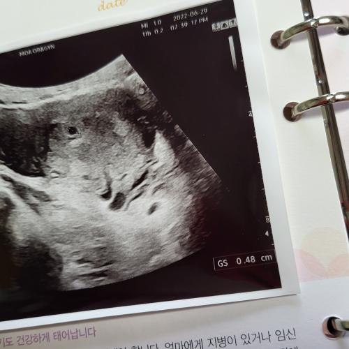 회원이미지