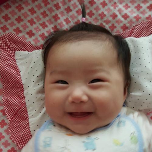 회원이미지