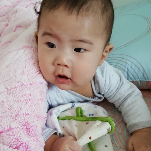 회원이미지
