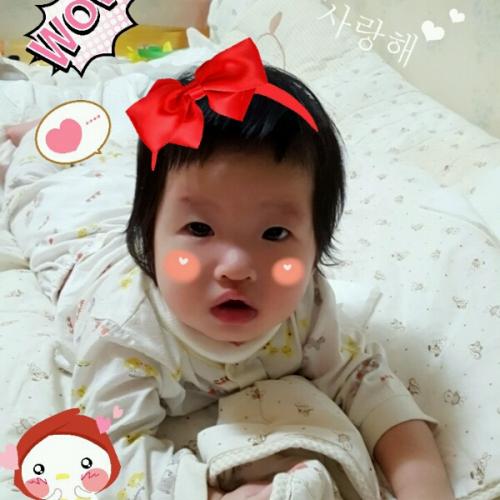 회원이미지