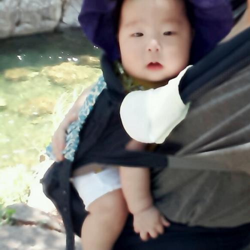 회원이미지
