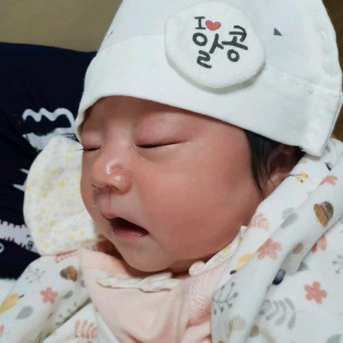 회원이미지