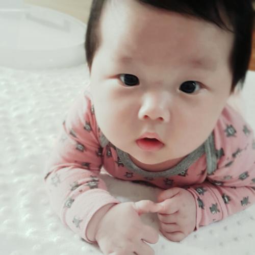 회원이미지
