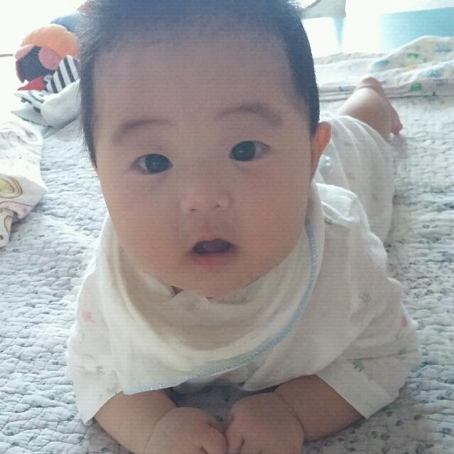 회원이미지