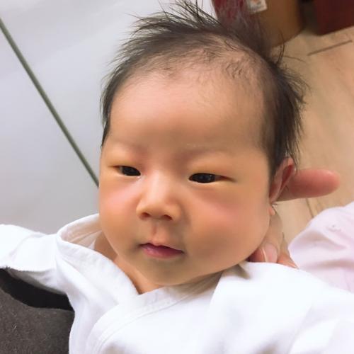 회원이미지