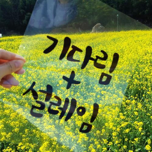 회원이미지