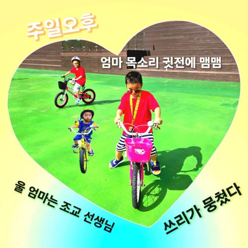회원이미지