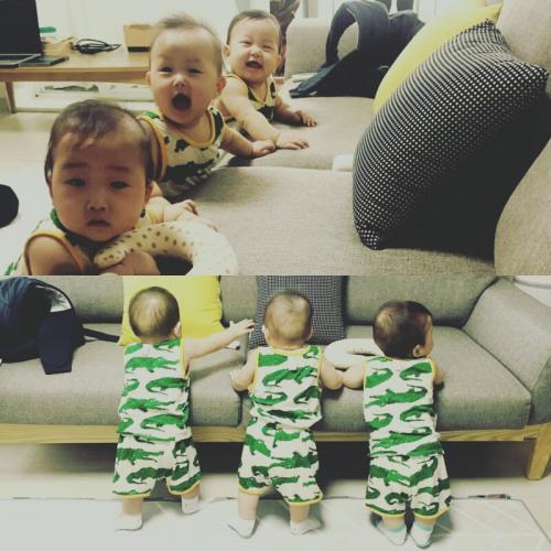 회원이미지