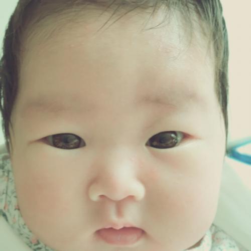 회원이미지