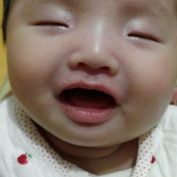 회원이미지