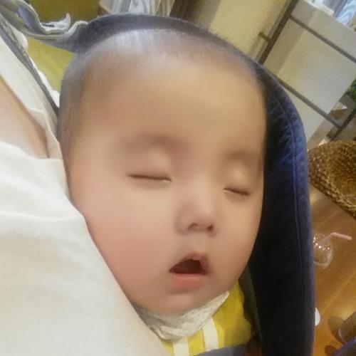 회원이미지