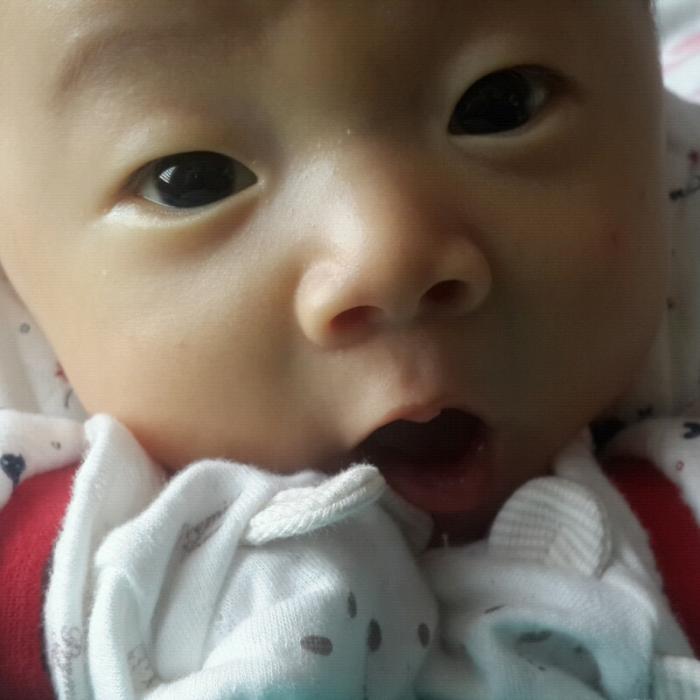 회원이미지
