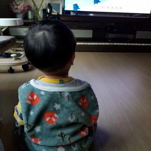 회원이미지