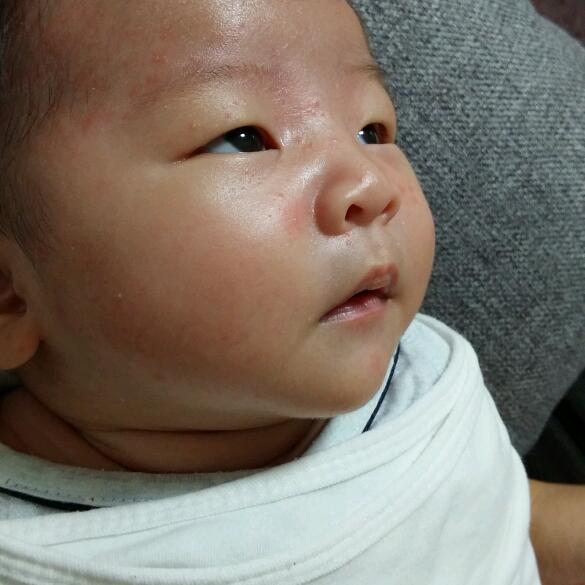 회원이미지