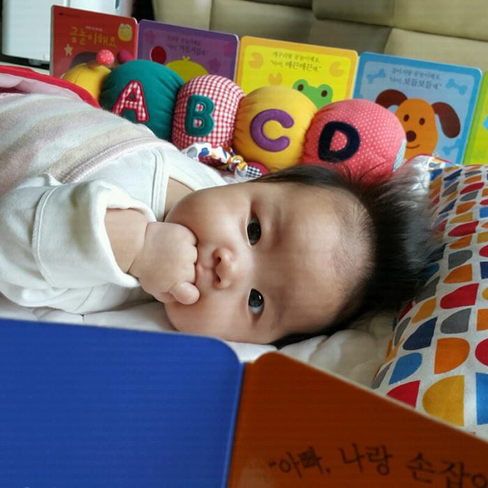 회원이미지
