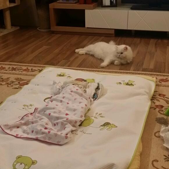회원이미지
