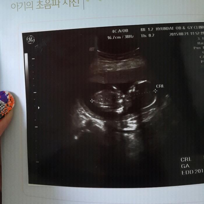 회원이미지