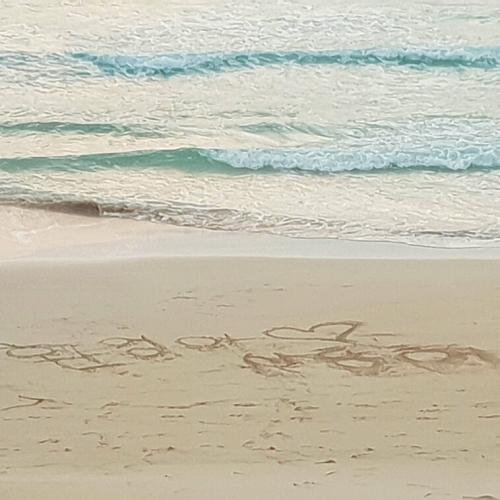 회원이미지
