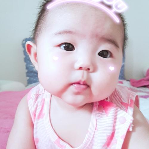회원이미지