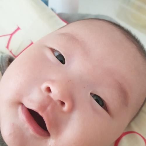 회원이미지