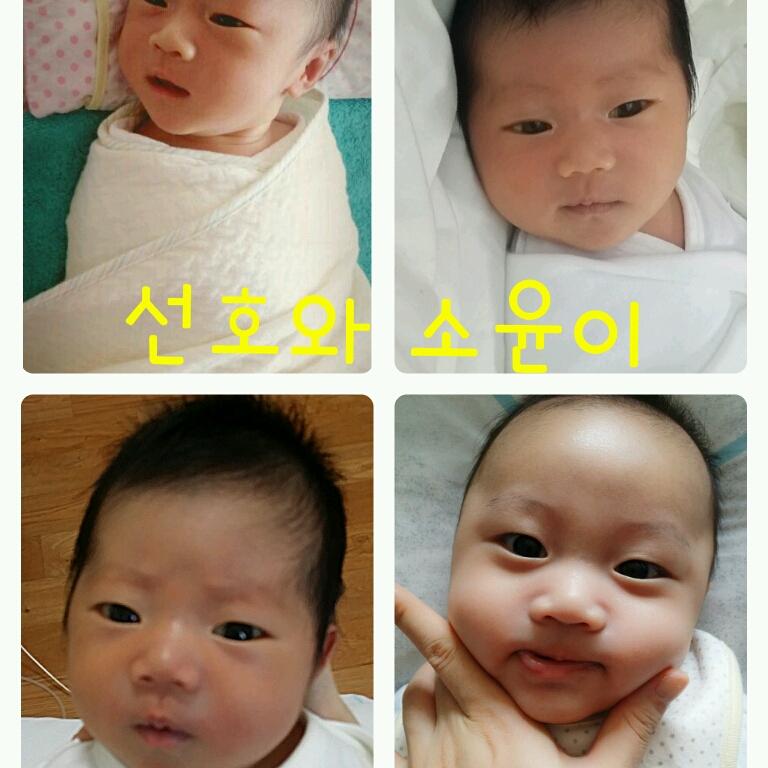 회원이미지