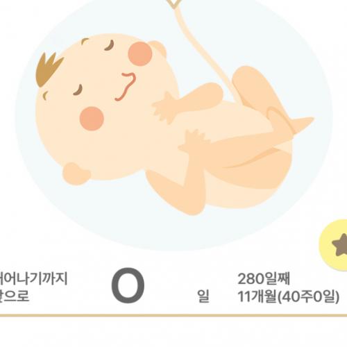 회원이미지