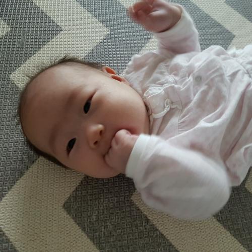 회원이미지