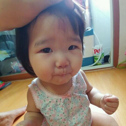 회원이미지