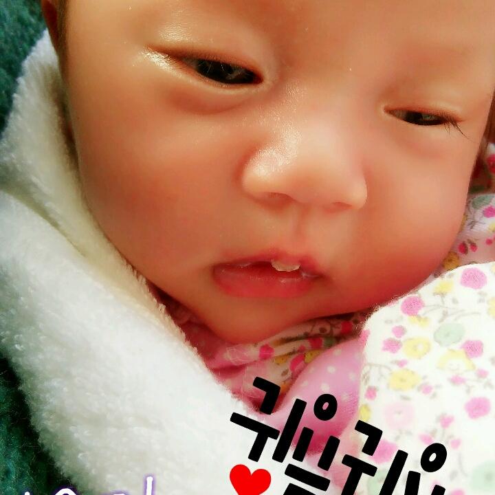 회원이미지