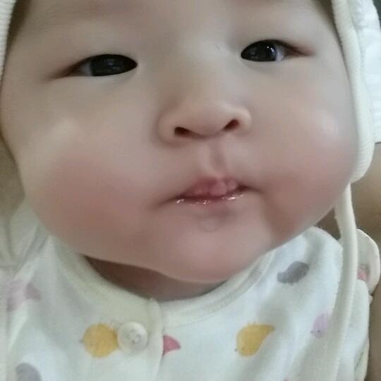 회원이미지
