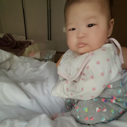 회원이미지