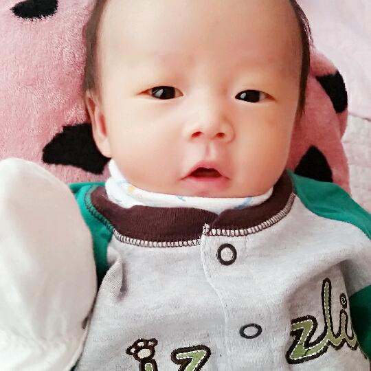 회원이미지